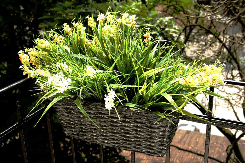 Flowers City Center Apartments Загреб Номер фото
